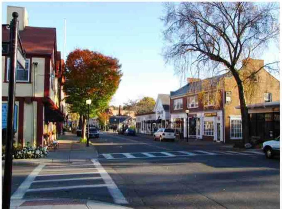 Charming Cottage Historic Falmouth Cape Cod Near Beach And Downtown 2Br 1Bath Deck Dış mekan fotoğraf